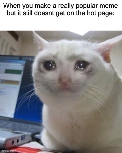 relatable, anyone? | When you make a really popular meme but it still doesnt get on the hot page: | image tagged in crying cat | made w/ Imgflip meme maker