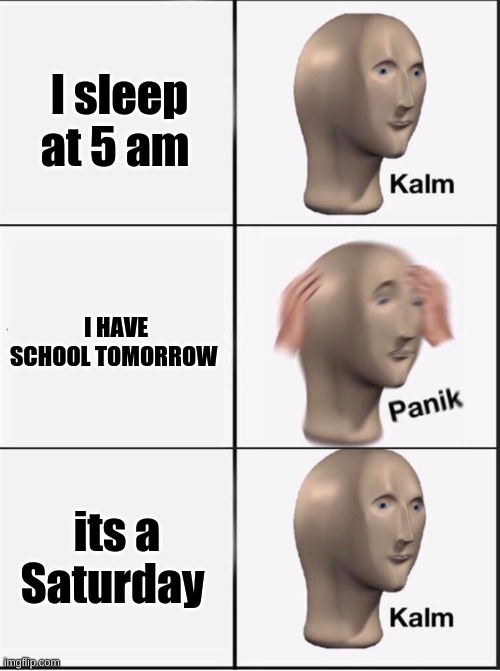 true story | I sleep at 5 am; I HAVE SCHOOL TOMORROW; its a Saturday | image tagged in reverse kalm panik | made w/ Imgflip meme maker