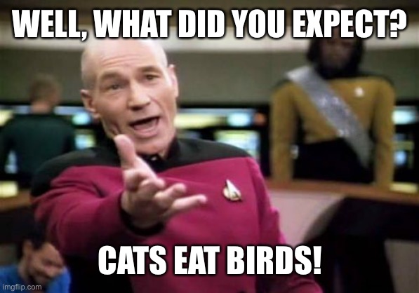 Picard Wtf Meme | WELL, WHAT DID YOU EXPECT? CATS EAT BIRDS! | image tagged in memes,picard wtf | made w/ Imgflip meme maker