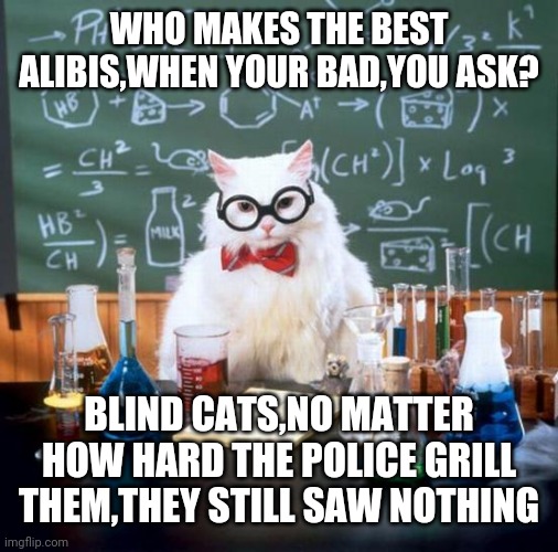 Chemistry Cat | WHO MAKES THE BEST ALIBIS,WHEN YOUR BAD,YOU ASK? BLIND CATS,NO MATTER HOW HARD THE POLICE GRILL THEM,THEY STILL SAW NOTHING | image tagged in memes,chemistry cat | made w/ Imgflip meme maker