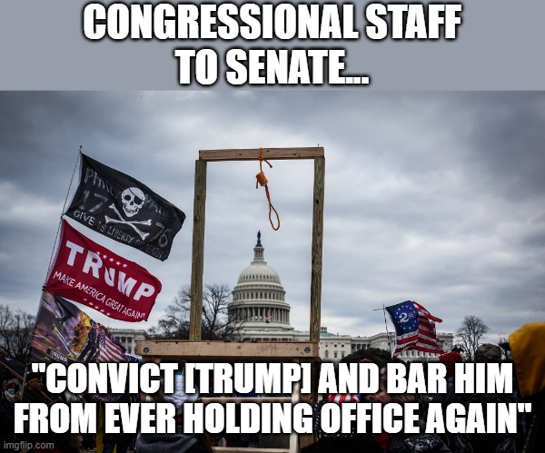 Over 370 Congressional staffers sign letter to Senate imploring Trump conviction | CONGRESSIONAL STAFF
TO SENATE... "CONVICT [TRUMP] AND BAR HIM
FROM EVER HOLDING OFFICE AGAIN" | image tagged in trump,impeachment,sedition | made w/ Imgflip meme maker