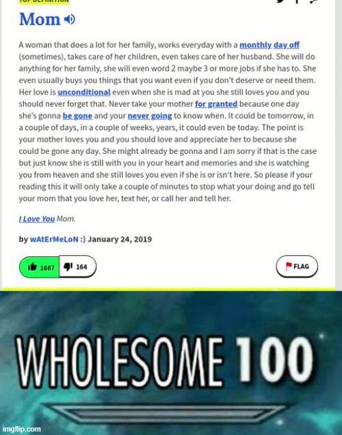 Best thing on urban dictionary so far | image tagged in wholesome 100 | made w/ Imgflip meme maker