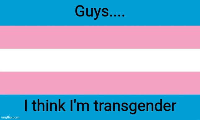 I've been like this since 2018, but wut do Ik, I'm just an unstable 19 y.o. | Guys.... I think I'm transgender | image tagged in transgender flag | made w/ Imgflip meme maker