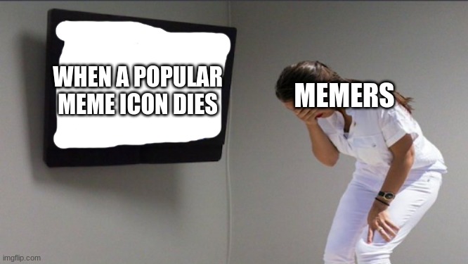 Oh! that makes me Sad! :( | WHEN A POPULAR MEME ICON DIES; MEMERS | image tagged in memes,memers,icon,rip,sad,playtime | made w/ Imgflip meme maker