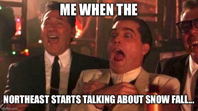 Snow | ME WHEN THE; NORTHEAST STARTS TALKING ABOUT SNOW FALL... | image tagged in goodfellas laughing scene henry hill | made w/ Imgflip meme maker