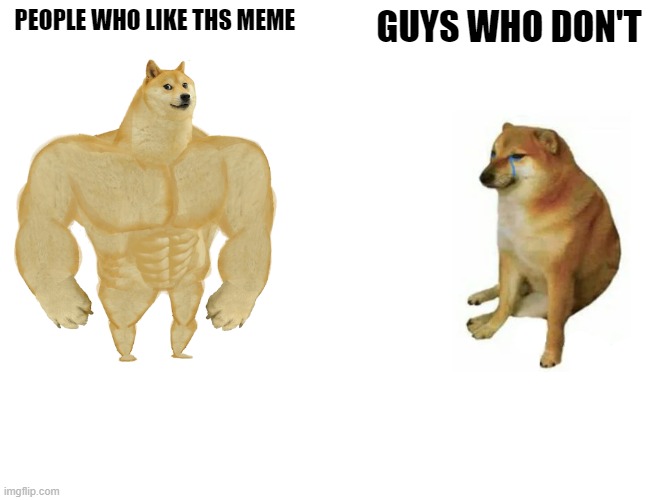 Buff Doge vs. Cheems Meme | PEOPLE WHO LIKE THS MEME; GUYS WHO DON'T | image tagged in memes,buff doge vs cheems | made w/ Imgflip meme maker