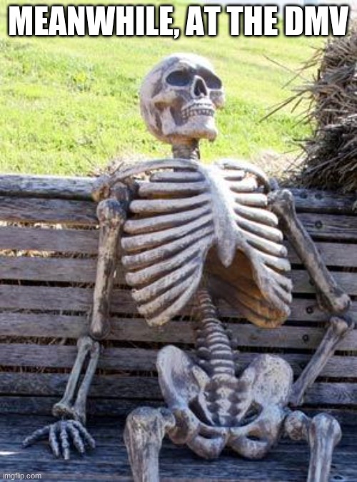 Waiting Skeleton Meme | MEANWHILE, AT THE DMV | image tagged in memes,waiting skeleton | made w/ Imgflip meme maker