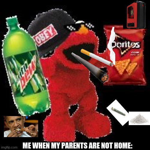 true do | ME WHEN MY PARENTS ARE NOT HOME: | image tagged in mlg elmo world,drugs,elmo cocaine,memes | made w/ Imgflip meme maker