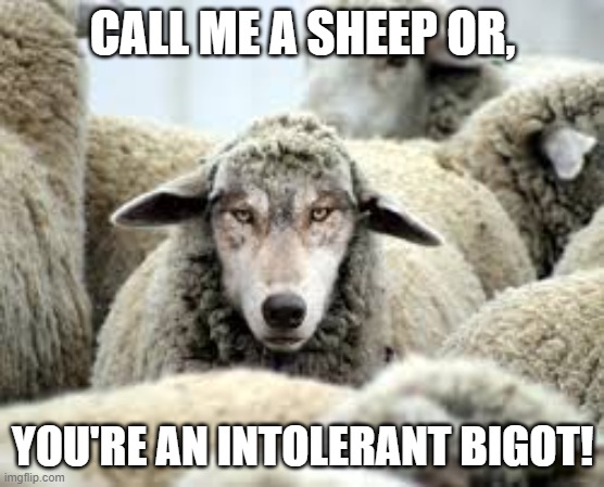 Trans-Sheep | CALL ME A SHEEP OR, YOU'RE AN INTOLERANT BIGOT! | image tagged in trans-sheep | made w/ Imgflip meme maker