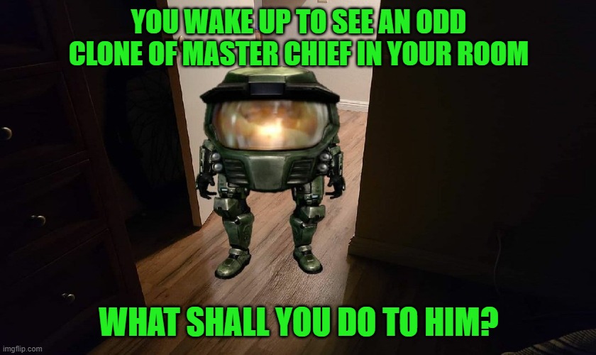 Clone of Master Chief | YOU WAKE UP TO SEE AN ODD CLONE OF MASTER CHIEF IN YOUR ROOM; WHAT SHALL YOU DO TO HIM? | image tagged in halo | made w/ Imgflip meme maker