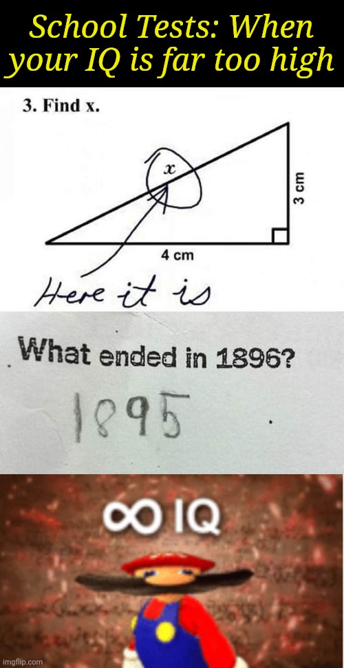 School Genius | School Tests: When your IQ is far too high | image tagged in infinite iq,sometimes my genius is it's almost frightening,school memes,test | made w/ Imgflip meme maker