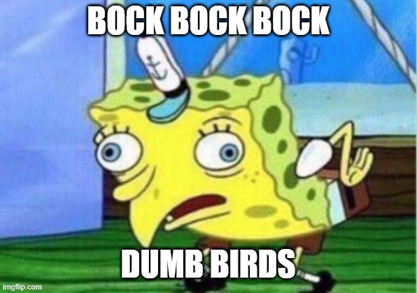 Mocking Spongebob | BOCK BOCK BOCK; DUMB BIRDS | image tagged in memes,mocking spongebob | made w/ Imgflip meme maker