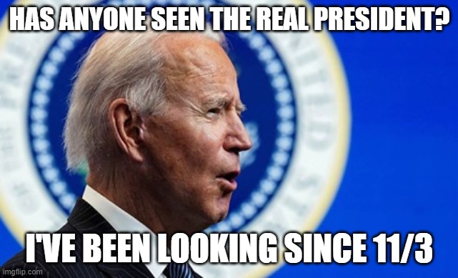 Biden looking for President | HAS ANYONE SEEN THE REAL PRESIDENT? I'VE BEEN LOOKING SINCE 11/3 | image tagged in biden,fake pres | made w/ Imgflip meme maker