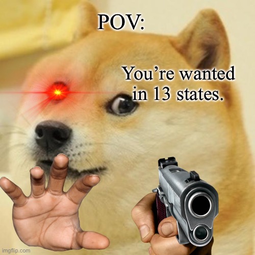 Doge | POV:; You’re wanted in 13 states. | image tagged in memes,doge | made w/ Imgflip meme maker