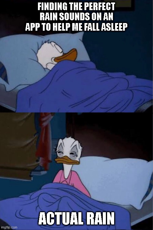 donald duck waking up | FINDING THE PERFECT RAIN SOUNDS ON AN APP TO HELP ME FALL ASLEEP; ACTUAL RAIN | image tagged in donald duck waking up,memes | made w/ Imgflip meme maker