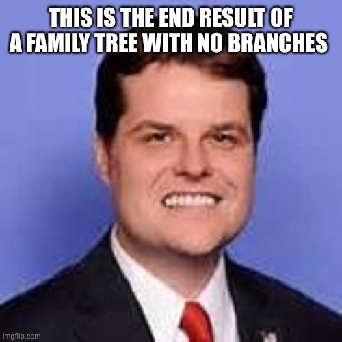 matt gaetz  | THIS IS THE END RESULT OF A FAMILY TREE WITH NO BRANCHES | image tagged in matt gaetz | made w/ Imgflip meme maker