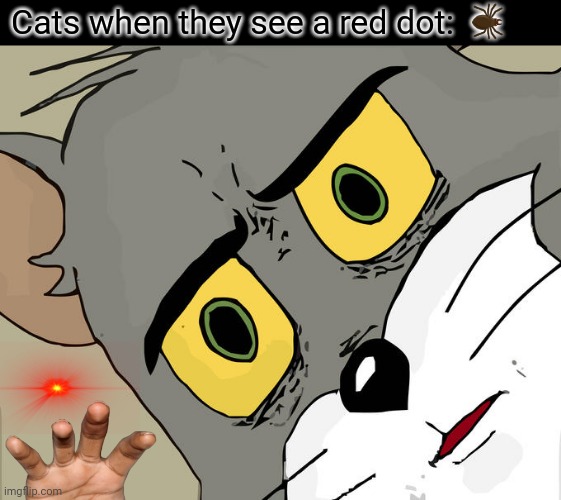 Unsettled Tom Meme | 🕷; Cats when they see a red dot: | image tagged in memes,unsettled tom,business cat | made w/ Imgflip meme maker