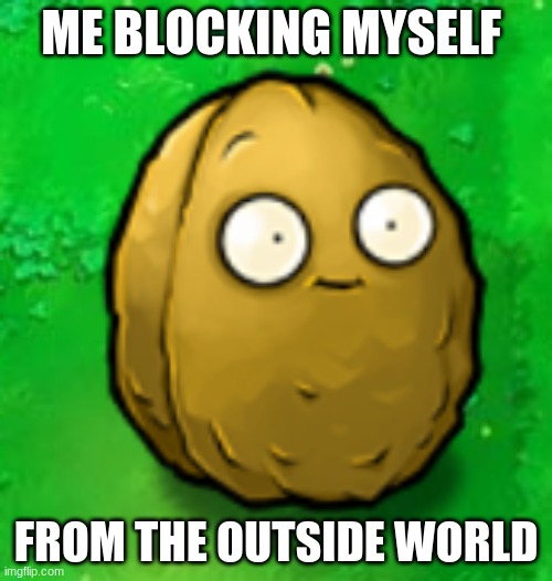 life | ME BLOCKING MYSELF; FROM THE OUTSIDE WORLD | image tagged in wall-nut | made w/ Imgflip meme maker