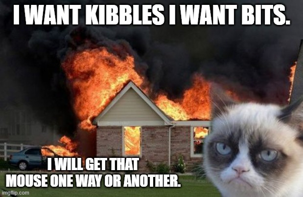 Burn Kitty | I WANT KIBBLES I WANT BITS. I WILL GET THAT MOUSE ONE WAY OR ANOTHER. | image tagged in memes,burn kitty,grumpy cat | made w/ Imgflip meme maker