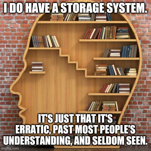 My storage system, Pratchett inspired. |  I DO HAVE A STORAGE SYSTEM. IT'S JUST THAT IT'S ERRATIC, PAST MOST PEOPLE'S UNDERSTANDING, AND SELDOM SEEN. | image tagged in bookshelf head square,storage,system | made w/ Imgflip meme maker
