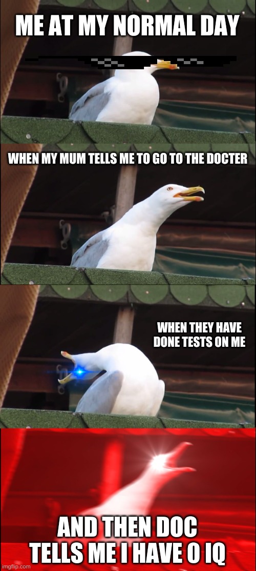 when doc tells me news | ME AT MY NORMAL DAY; WHEN MY MUM TELLS ME TO GO TO THE DOCTER; WHEN THEY HAVE DONE TESTS ON ME; AND THEN DOC TELLS ME I HAVE 0 IQ | image tagged in memes,inhaling seagull,doctor,funny,dumb | made w/ Imgflip meme maker