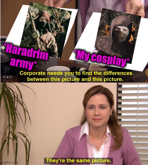 -Winter of seeking. | *Haradrim army*; *My cosplay* | image tagged in memes,they're the same picture,lotr,spy vs spy,ninja,cosplay fail | made w/ Imgflip meme maker