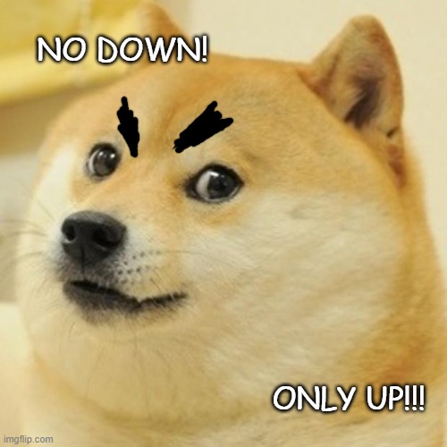 Doge Meme | NO DOWN! ONLY UP!!! | image tagged in memes,doge,WallStreetbetsELITE | made w/ Imgflip meme maker