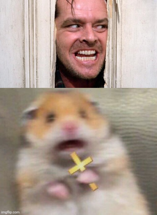 image tagged in the shining | made w/ Imgflip meme maker