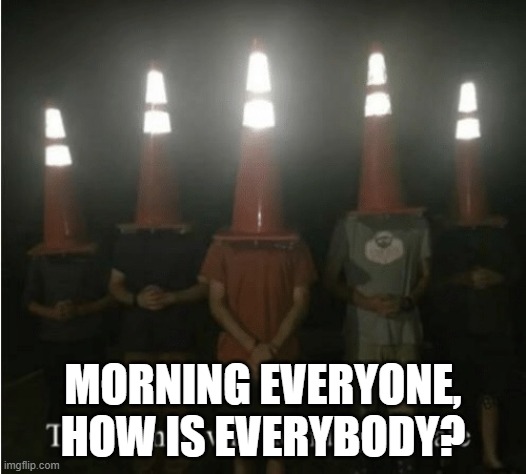 The council will decide your fate | MORNING EVERYONE, HOW IS EVERYBODY? | image tagged in the council will decide your fate | made w/ Imgflip meme maker