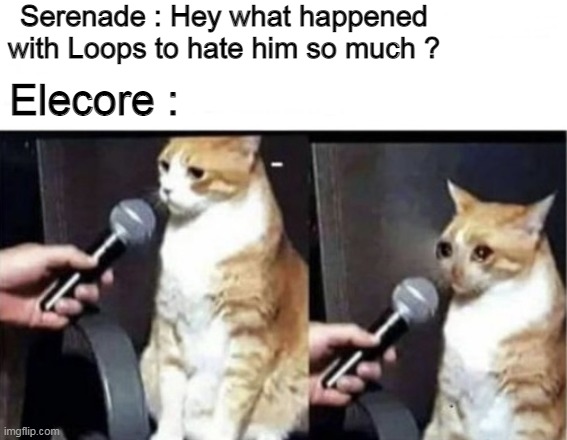 . | Serenade : Hey what happened with Loops to hate him so much ? Elecore : | image tagged in crying cat interview horizontal | made w/ Imgflip meme maker