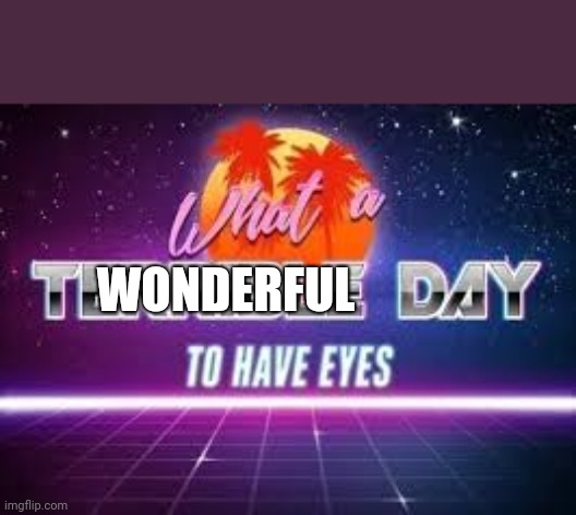 What A Terrible Day To Have Eyes | WONDERFUL | image tagged in what a terrible day to have eyes | made w/ Imgflip meme maker