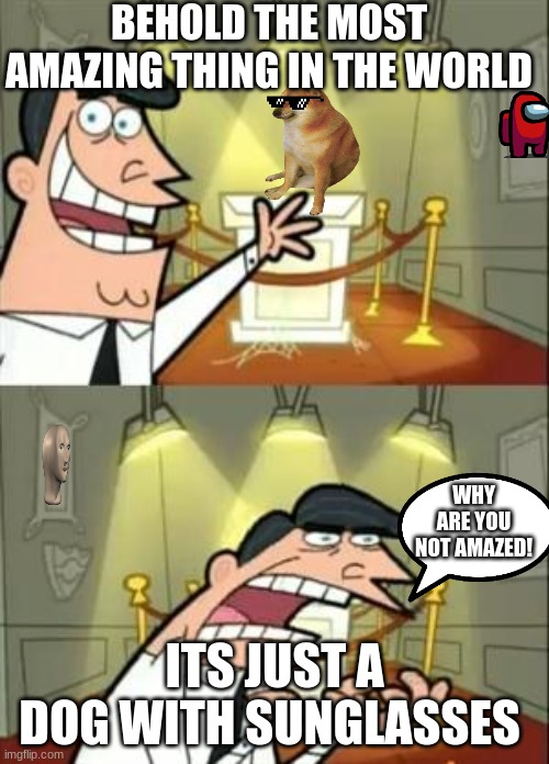 This Is Where I'd Put My Trophy If I Had One Meme | BEHOLD THE MOST AMAZING THING IN THE WORLD; WHY ARE YOU NOT AMAZED! ITS JUST A DOG WITH SUNGLASSES | image tagged in memes,this is where i'd put my trophy if i had one | made w/ Imgflip meme maker