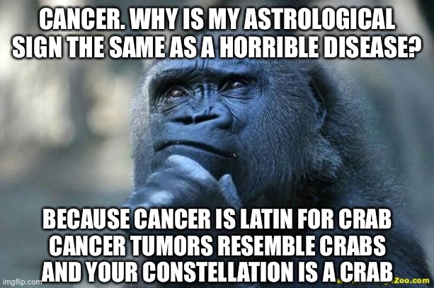 Cancer Why is my astrological sign the same as a horrible disease | CANCER. WHY IS MY ASTROLOGICAL SIGN THE SAME AS A HORRIBLE DISEASE? BECAUSE CANCER IS LATIN FOR CRAB
CANCER TUMORS RESEMBLE CRABS
AND YOUR CONSTELLATION IS A CRAB | image tagged in deep thoughts,cancer,meme,memes,astrological sign,interesting | made w/ Imgflip meme maker