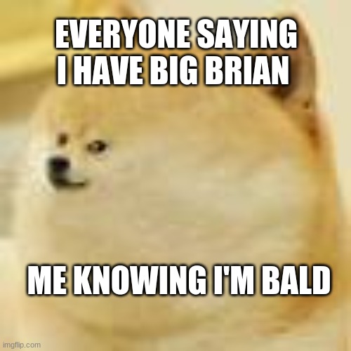 The meme of all memes  | EVERYONE SAYING I HAVE BIG BRIAN; ME KNOWING I'M BALD | image tagged in the meme of all memes | made w/ Imgflip meme maker