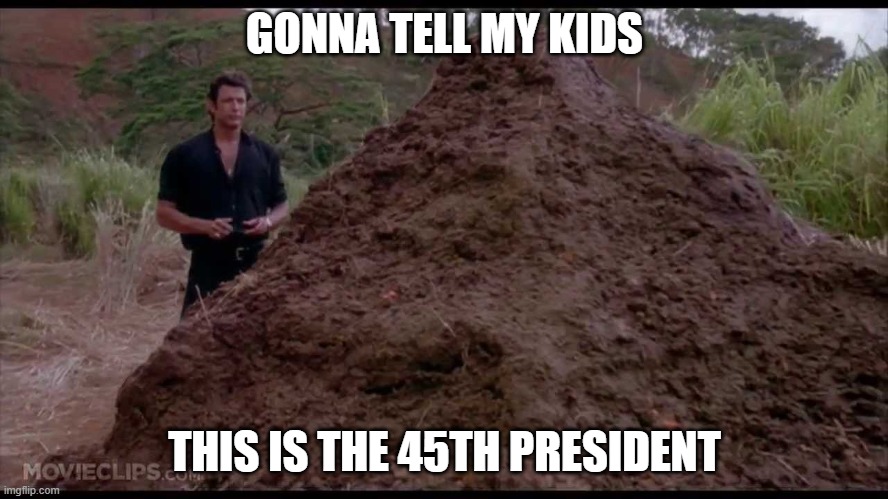 gon tell my kids trump | GONNA TELL MY KIDS; THIS IS THE 45TH PRESIDENT | image tagged in that is one big pile of shit | made w/ Imgflip meme maker