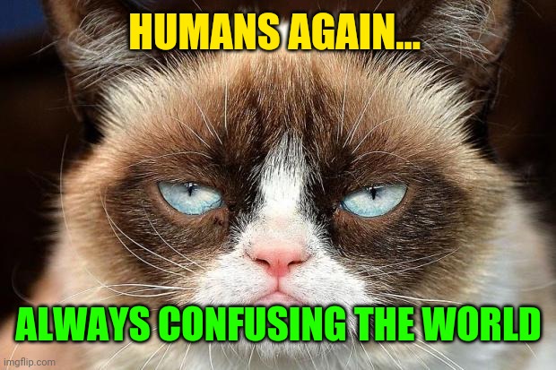 Grumpy Cat Not Amused Meme | HUMANS AGAIN... ALWAYS CONFUSING THE WORLD | image tagged in memes,grumpy cat not amused,grumpy cat | made w/ Imgflip meme maker