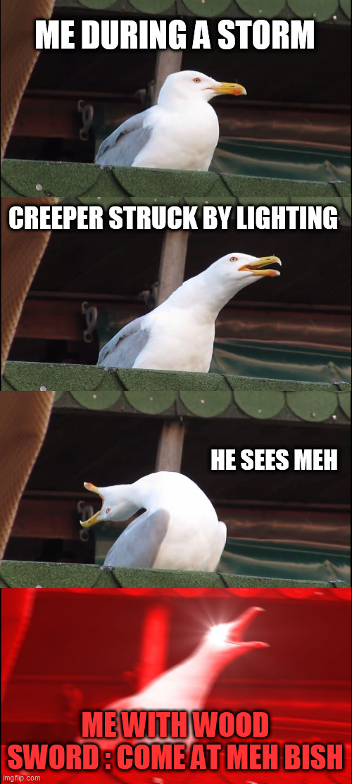 Inhaling Seagull | ME DURING A STORM; CREEPER STRUCK BY LIGHTING; HE SEES MEH; ME WITH WOOD SWORD : COME AT MEH BISH | image tagged in memes,inhaling seagull | made w/ Imgflip meme maker