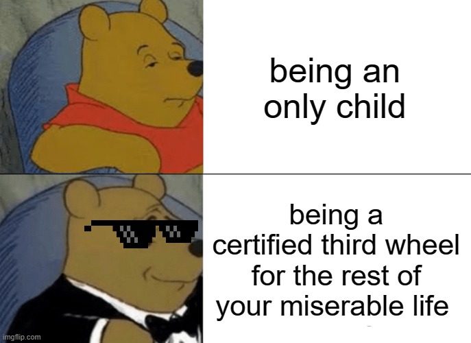 it's kinda true if you think about it | being an only child; being a certified third wheel for the rest of your miserable life | image tagged in memes,tuxedo winnie the pooh | made w/ Imgflip meme maker
