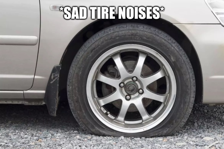 *SAD TIRE NOISES* | made w/ Imgflip meme maker