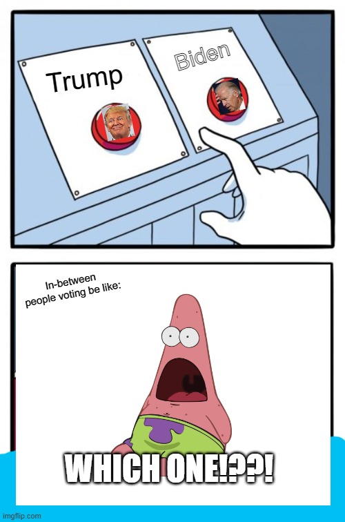 V O T I N G B E L I K E I A M O H U R R Y U P | Biden; Trump; In-between people voting be like:; WHICH ONE!??! | image tagged in comment your idea -happy face- | made w/ Imgflip meme maker