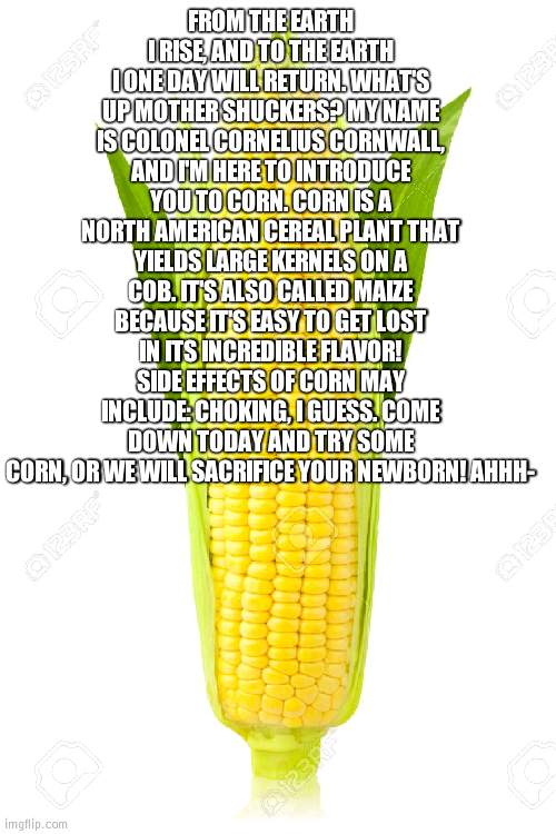 corn | FROM THE EARTH I RISE, AND TO THE EARTH I ONE DAY WILL RETURN. WHAT'S UP MOTHER SHUCKERS? MY NAME IS COLONEL CORNELIUS CORNWALL, AND I'M HERE TO INTRODUCE YOU TO CORN. CORN IS A NORTH AMERICAN CEREAL PLANT THAT YIELDS LARGE KERNELS ON A COB. IT'S ALSO CALLED MAIZE BECAUSE IT'S EASY TO GET LOST IN ITS INCREDIBLE FLAVOR! SIDE EFFECTS OF CORN MAY INCLUDE: CHOKING, I GUESS. COME DOWN TODAY AND TRY SOME CORN, OR WE WILL SACRIFICE YOUR NEWBORN! AHHH- | made w/ Imgflip meme maker