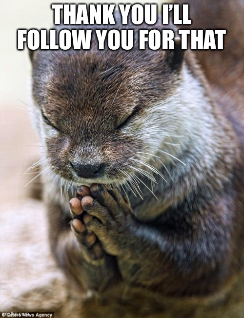 Thank you Lord Otter | THANK YOU I’LL FOLLOW YOU FOR THAT | image tagged in thank you lord otter | made w/ Imgflip meme maker
