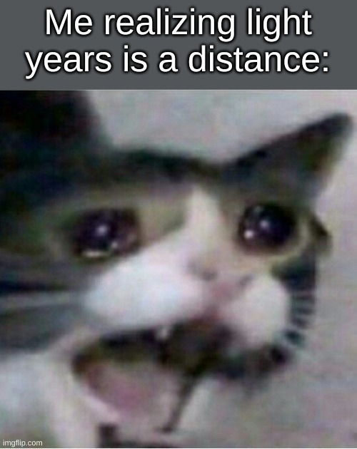 Your a million light years from fighting brock | Me realizing light years is a distance: | image tagged in crying cat | made w/ Imgflip meme maker