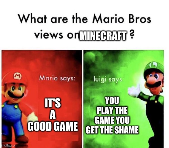 minecraft is good | MINECRAFT; IT'S A GOOD GAME; YOU PLAY THE GAME YOU GET THE SHAME | image tagged in mario bros views | made w/ Imgflip meme maker