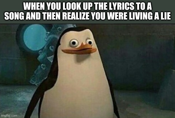 Confused Private Penguin | WHEN YOU LOOK UP THE LYRICS TO A SONG AND THEN REALIZE YOU WERE LIVING A LIE | image tagged in confused private penguin | made w/ Imgflip meme maker