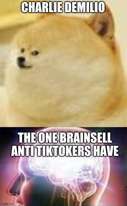 CHARLIE DEMILIO; THE ONE BRAINSELL ANTI TIKTOKERS HAVE | image tagged in the meme of all memes | made w/ Imgflip meme maker