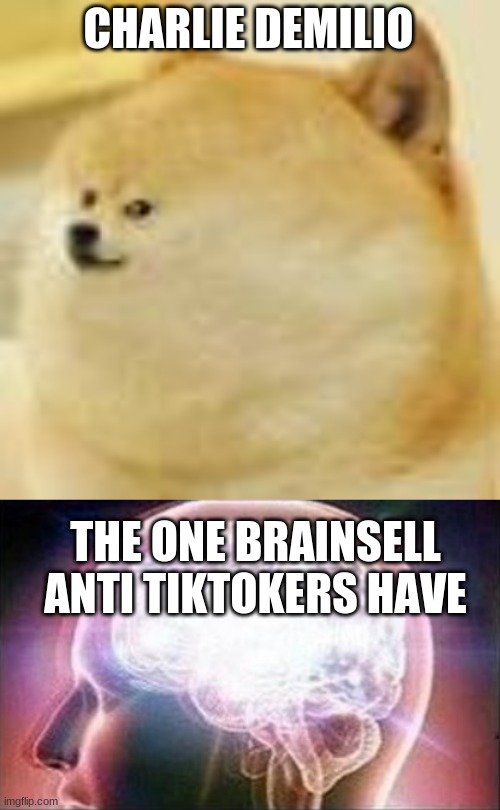 CHARLIE DEMILIO; THE ONE BRAINSELL ANTI TIKTOKERS HAVE | image tagged in the meme of all memes | made w/ Imgflip meme maker