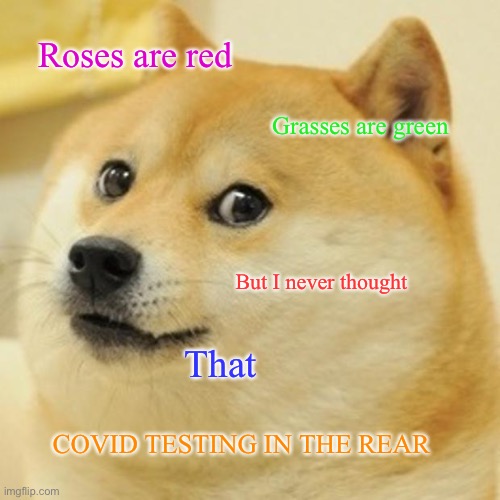 Oh no | Roses are red; Grasses are green; But I never thought; That; COVID TESTING IN THE REAR | image tagged in memes,doge,roses are red,grasses are green,but i never thought,covid testing in the rear | made w/ Imgflip meme maker