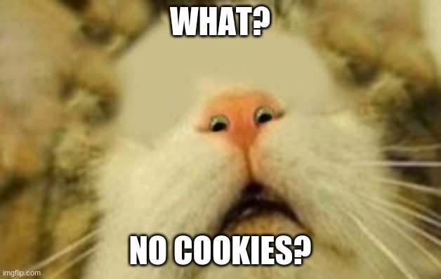 no cookies? | WHAT? NO COOKIES? | image tagged in eyes in nose cat | made w/ Imgflip meme maker