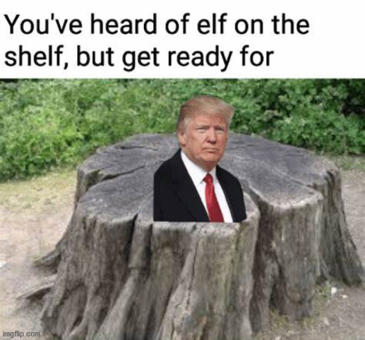 Trump on the Stump | image tagged in funny | made w/ Imgflip meme maker